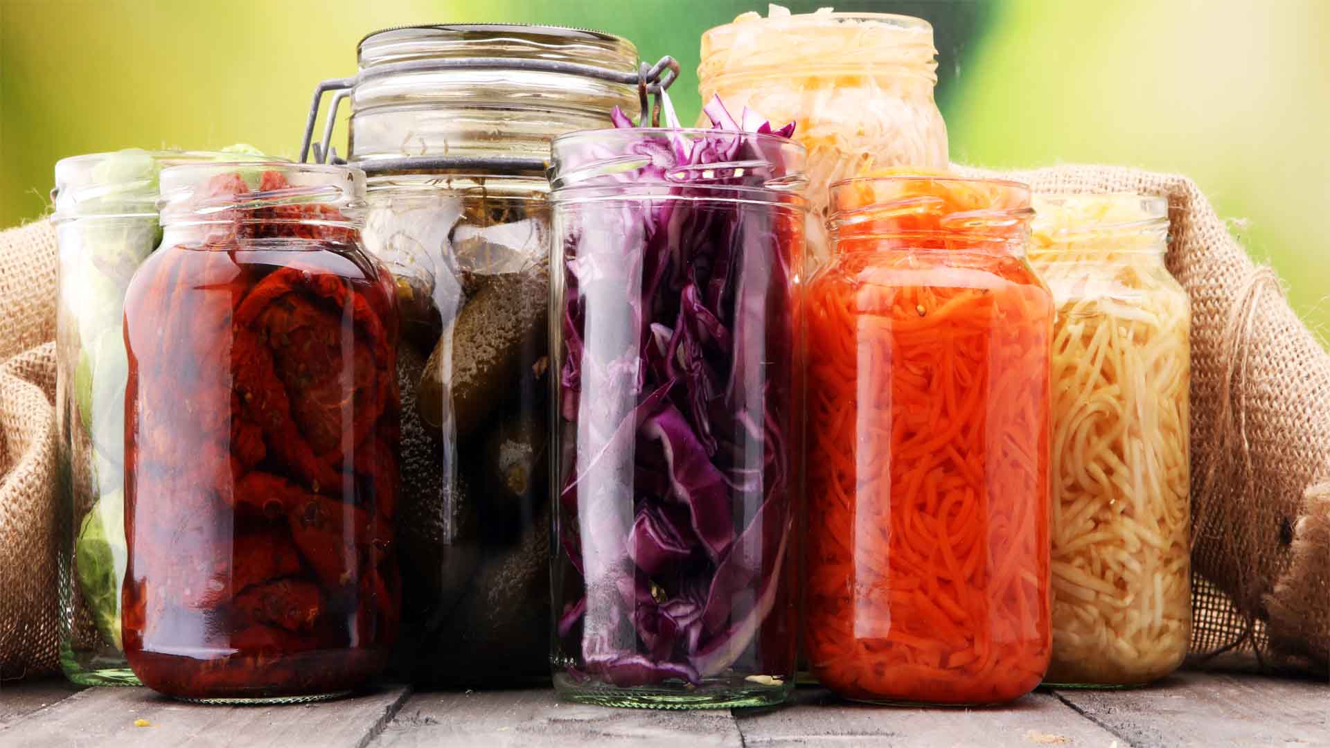 Dysbiosis and the Holobiont Diet